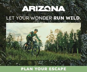 Vibrant Arizona banner ad, Pine
