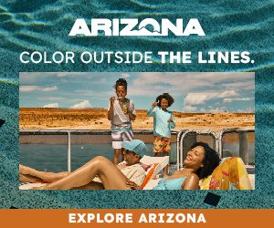 Vibrant Arizona banner ad, Wild Bunch